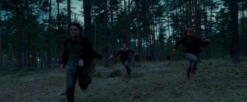 Potterish-RdMTrailerParte1-1138.jpg