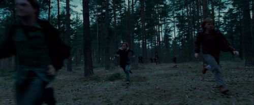 Click to view full size image
==============
Potterish-RdMTrailerParte1-1139.jpg Potterish-RdMTrailerParte1-1139.jpg