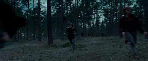 Click to view full size image
==============
Potterish-RdMTrailerParte1-1140.jpg Potterish-RdMTrailerParte1-1140.jpg
