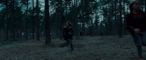 Potterish-RdMTrailerParte1-1141.jpg