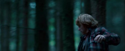 Potterish-RdMTrailerParte1-1145.jpg