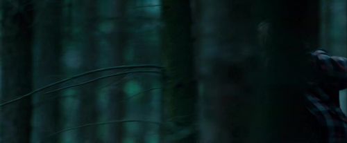 Potterish-RdMTrailerParte1-1148.jpg