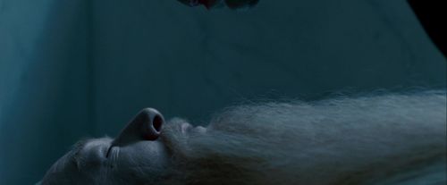 Click to view full size image
==============
Potterish-RdMTrailerParte1-115.jpg Potterish-RdMTrailerParte1-115.jpg