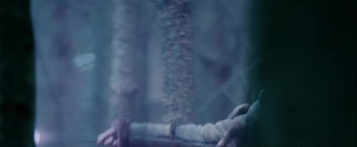 Potterish-RdMTrailerParte1-1161.jpg