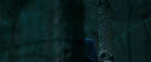 Potterish-RdMTrailerParte1-1165.jpg
