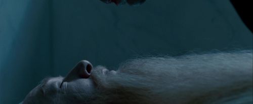 Potterish-RdMTrailerParte1-117.jpg