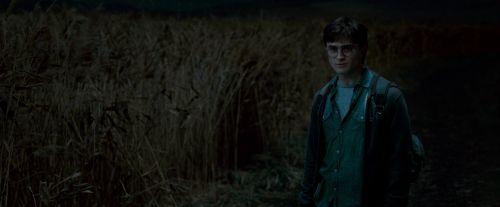 Potterish-RdMTrailerParte1-1171.jpg