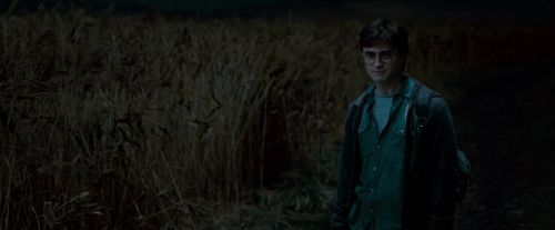 Click to view full size image
==============
Potterish-RdMTrailerParte1-1173.jpg Potterish-RdMTrailerParte1-1173.jpg