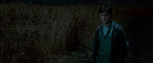 Click to view full size image
==============
Potterish-RdMTrailerParte1-1175.jpg Potterish-RdMTrailerParte1-1175.jpg