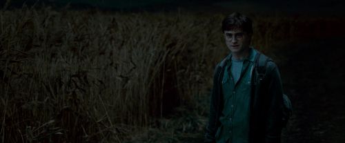 Potterish-RdMTrailerParte1-1178.jpg