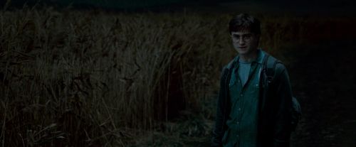 Potterish-RdMTrailerParte1-1179.jpg