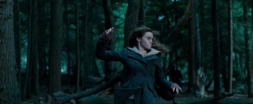 Potterish-RdMTrailerParte1-1191.jpg