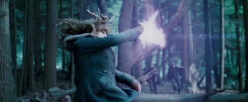 Potterish-RdMTrailerParte1-1196~0.jpg