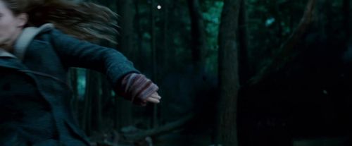 Potterish-RdMTrailerParte1-1203.jpg
