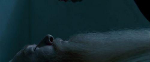 Potterish-RdMTrailerParte1-123.jpg