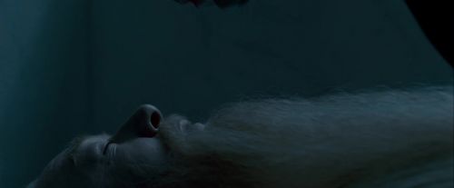 Click to view full size image
==============
Potterish-RdMTrailerParte1-124.jpg Potterish-RdMTrailerParte1-124.jpg