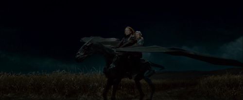 Click to view full size image
==============
Potterish-RdMTrailerParte1-1429.jpg Potterish-RdMTrailerParte1-1429.jpg