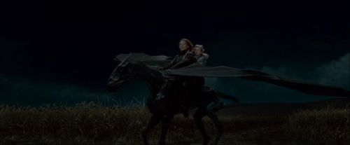 Potterish-RdMTrailerParte1-1430.jpg
