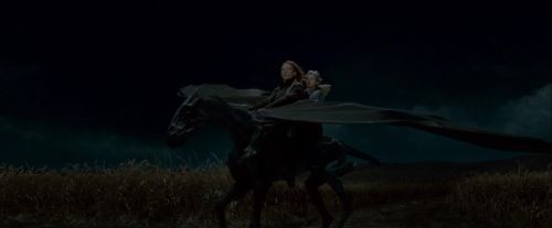 Click to view full size image
==============
Potterish-RdMTrailerParte1-1431.jpg Potterish-RdMTrailerParte1-1431.jpg