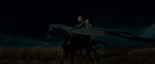 Potterish-RdMTrailerParte1-1432.jpg