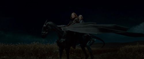 Click to view full size image
==============
Potterish-RdMTrailerParte1-1434.jpg Potterish-RdMTrailerParte1-1434.jpg