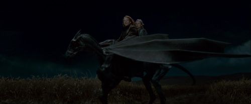 Potterish-RdMTrailerParte1-1437.jpg