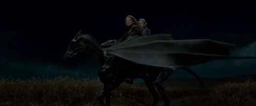Potterish-RdMTrailerParte1-1438.jpg