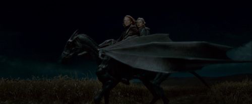 Click to view full size image
==============
Potterish-RdMTrailerParte1-1439.jpg Potterish-RdMTrailerParte1-1439.jpg