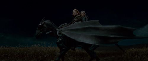 Potterish-RdMTrailerParte1-1440.jpg