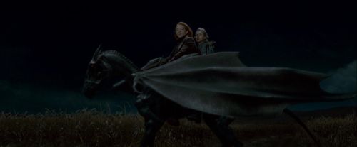 Potterish-RdMTrailerParte1-1441.jpg
