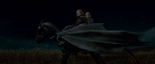 Potterish-RdMTrailerParte1-1442~0.jpg