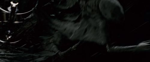Click to view full size image
==============
Potterish-RdMTrailerParte1-1465.jpg Potterish-RdMTrailerParte1-1465.jpg