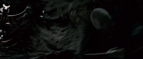 Potterish-RdMTrailerParte1-1467.jpg
