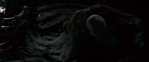 Potterish-RdMTrailerParte1-1469.jpg