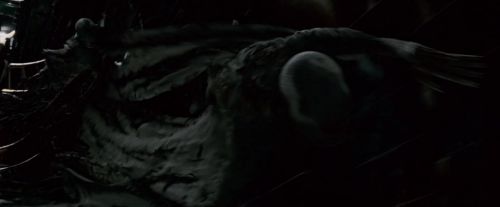 Potterish-RdMTrailerParte1-1470.jpg