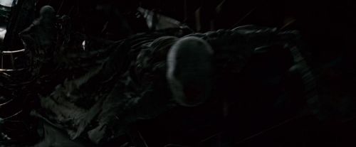 Potterish-RdMTrailerParte1-1473.jpg