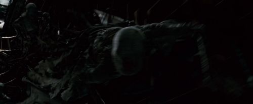 Potterish-RdMTrailerParte1-1474.jpg