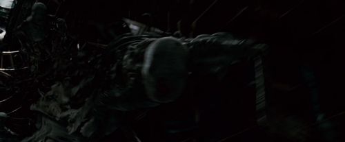 Click to view full size image
==============
Potterish-RdMTrailerParte1-1475.jpg Potterish-RdMTrailerParte1-1475.jpg