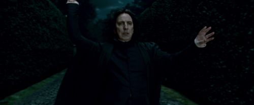 Potterish-RdMTrailerParte1-1485.jpg