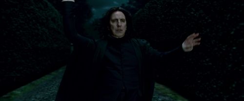 Potterish-RdMTrailerParte1-1487.jpg