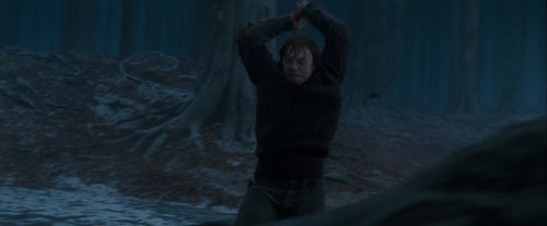 Potterish-RdMTrailerParte1-1663.jpg