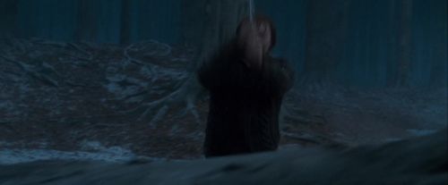Potterish-RdMTrailerParte1-1670.jpg