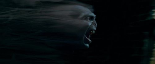Potterish-RdMTrailerParte1-1705.jpg