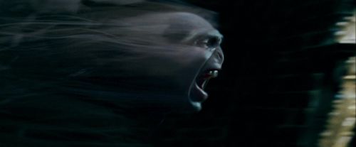 Potterish-RdMTrailerParte1-1707.jpg