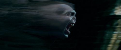 Potterish-RdMTrailerParte1-1708.jpg