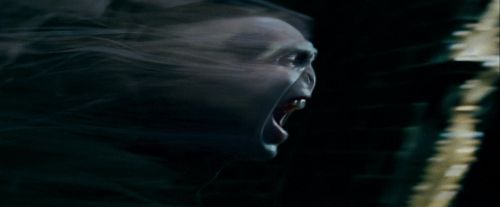Potterish-RdMTrailerParte1-1709.jpg