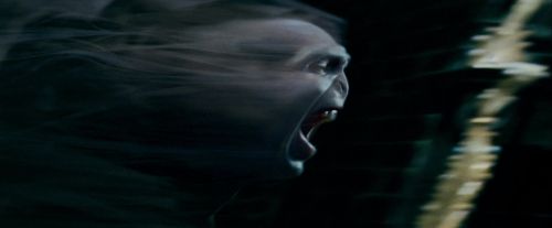 Potterish-RdMTrailerParte1-1710.jpg