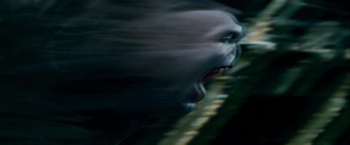 Potterish-RdMTrailerParte1-1716.jpg