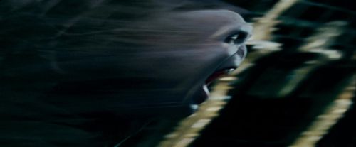 Potterish-RdMTrailerParte1-1717.jpg
