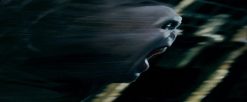 Click to view full size image
==============
Potterish-RdMTrailerParte1-1718.jpg Potterish-RdMTrailerParte1-1718.jpg